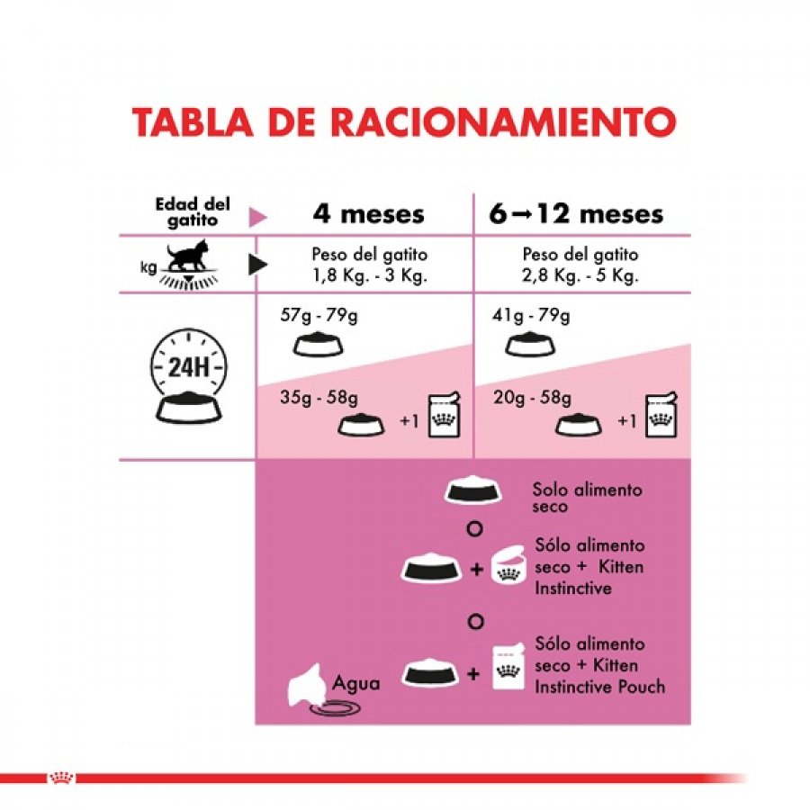 Royal Canin Gatito Felino Kitten alimento para gato, , large image number null