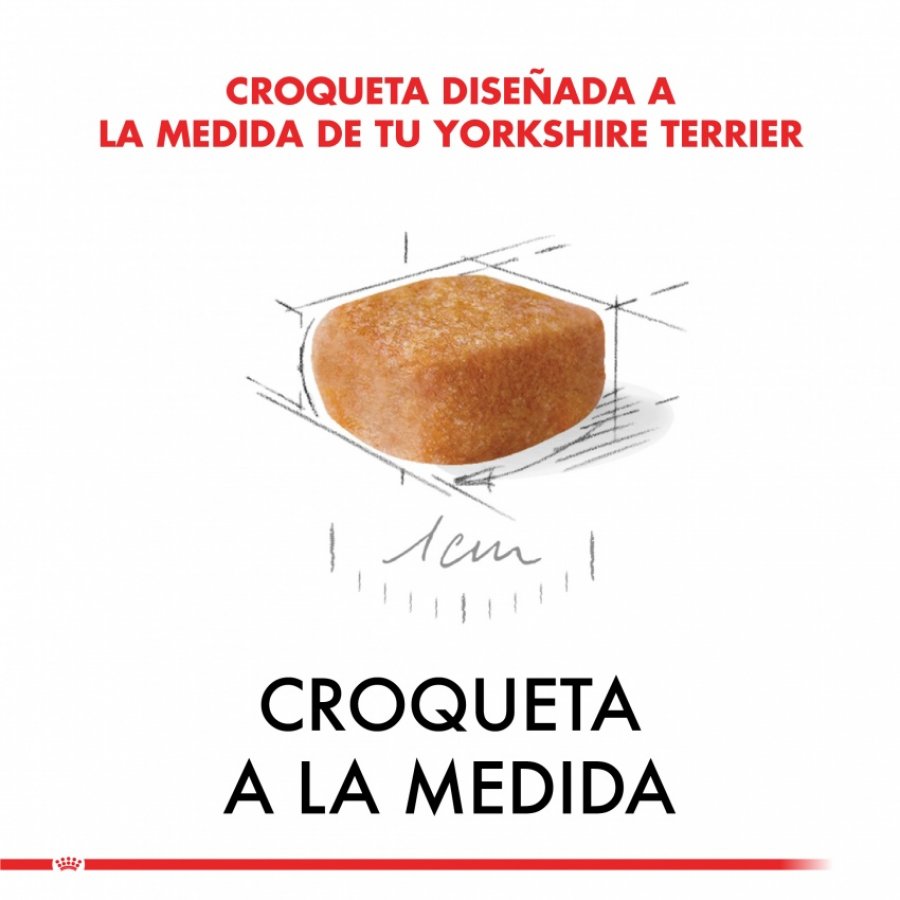 Royal Canin Cachorro Yorkshire Terrier Junior alimento para perro, , large image number null