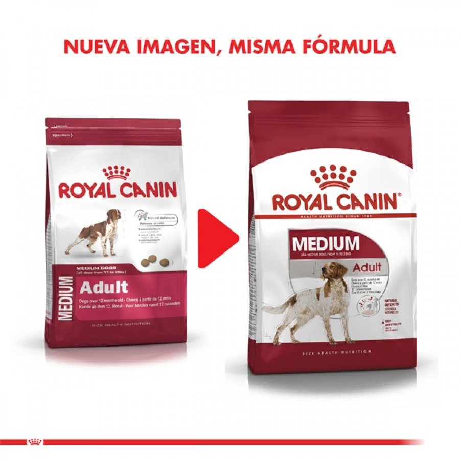 Royal Canin adulto Medium Adult alimento para perro, , large image number null