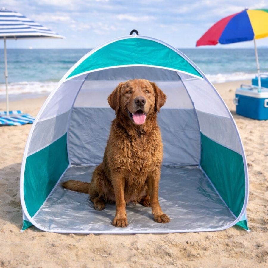 Summer vibes tienda de campa&ntilde;a para perros, , large image number null