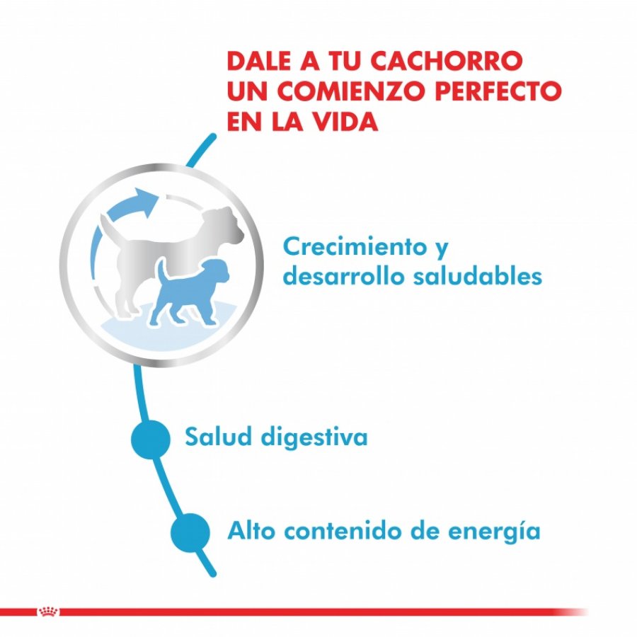 Royal Canin Cachorro Mini Puppy alimento para perro, , large image number null