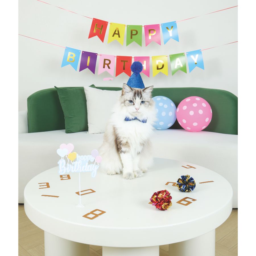 Partytime gato gentlemans set, , large image number null