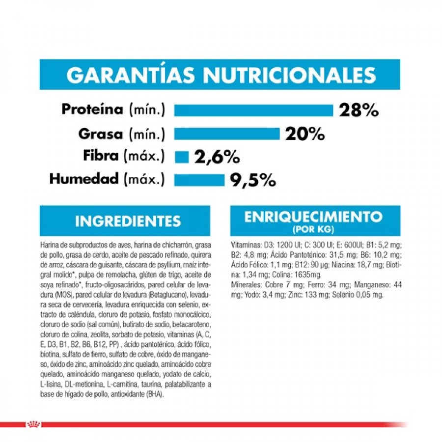 Royal Canin Cachorro Maxi Starter alimento para perro, , large image number null