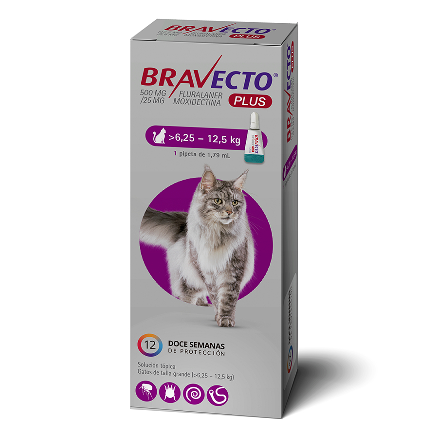 Bravecto Plus de 500 MG para gatos desde 6.25 a 12.5 KG, , large image number null