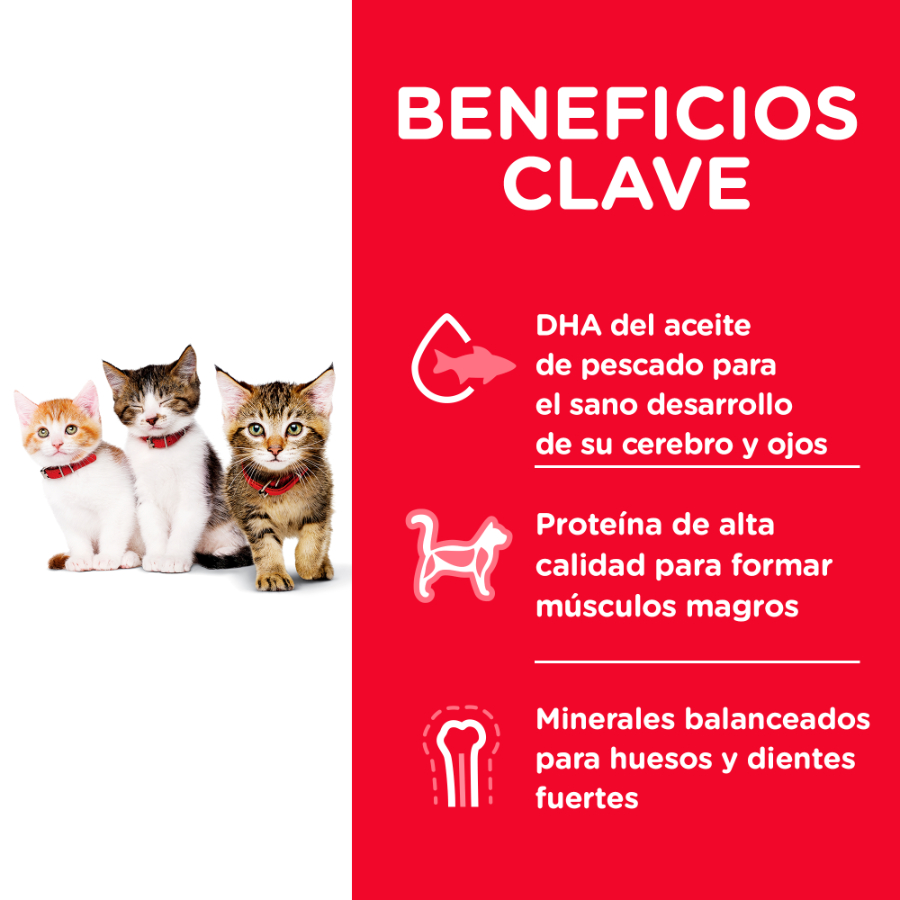 Hills Kitten Healthy Development alimento para gato, , large image number null