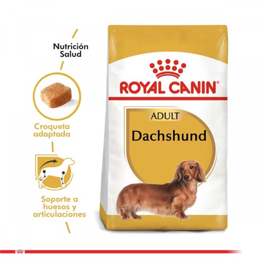 Royal Canin adulto Dachshund alimento para perro, , large image number null