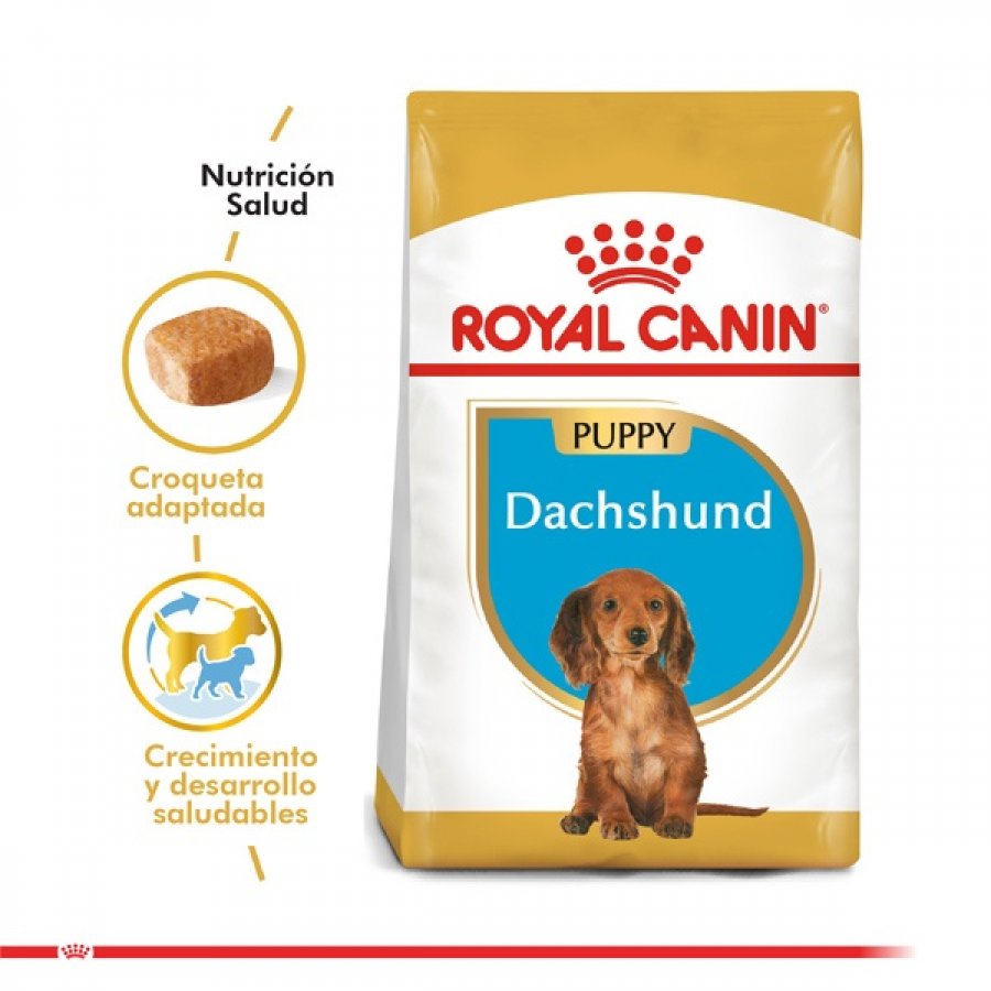Royal Canin Cachorro Dachshund Junior alimento para perro, , large image number null