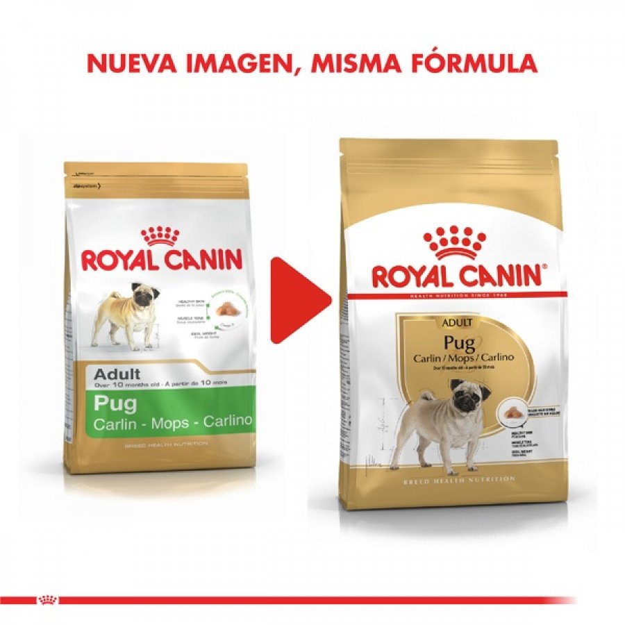 Royal Canin adulto pug adult 2.5 KG alimento para perro, , large image number null