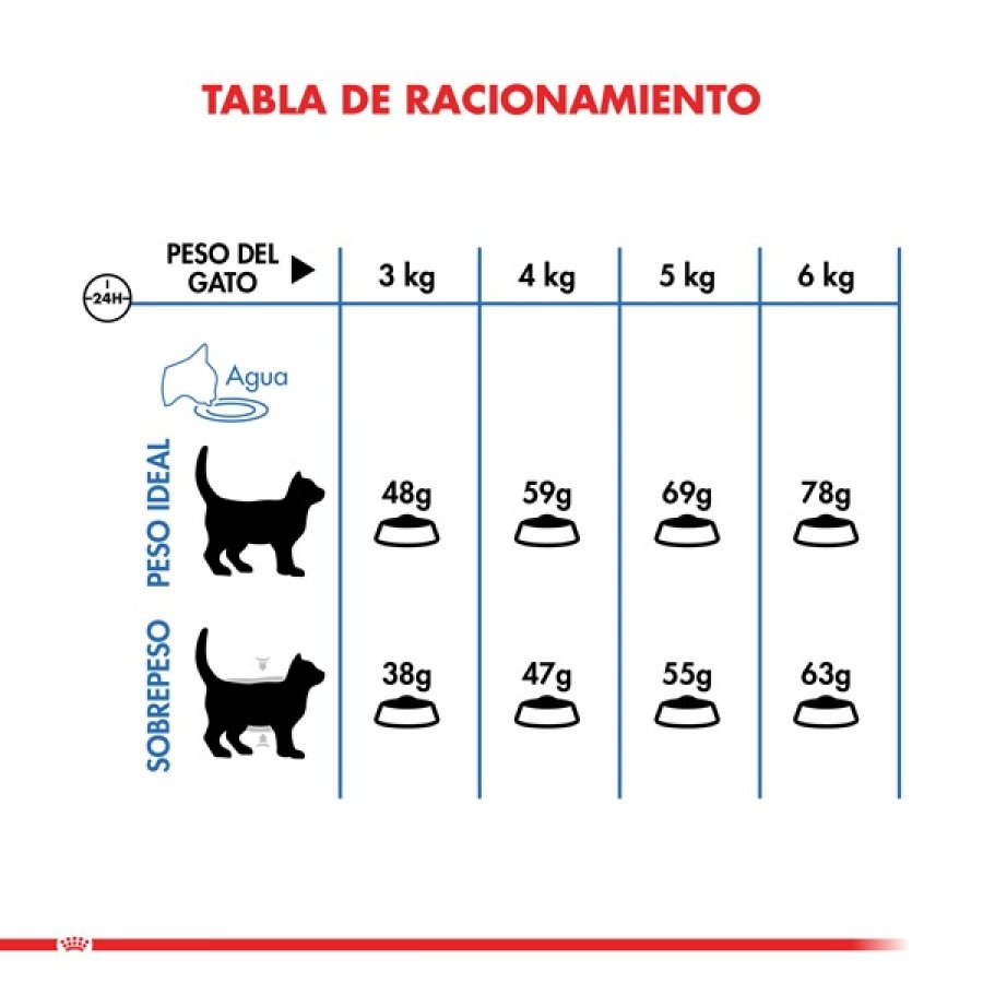 Royal Canin Alimento Seco Gato Adulto Light Weight, , large image number null