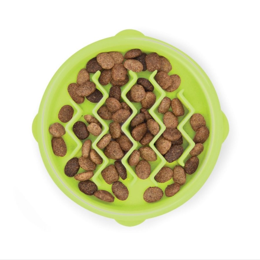 Kitty Slow Feeder Grn SM