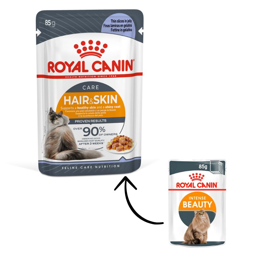 Royal Canin Adulto Intense Beauty alimento húmedo para gatos 85 GR