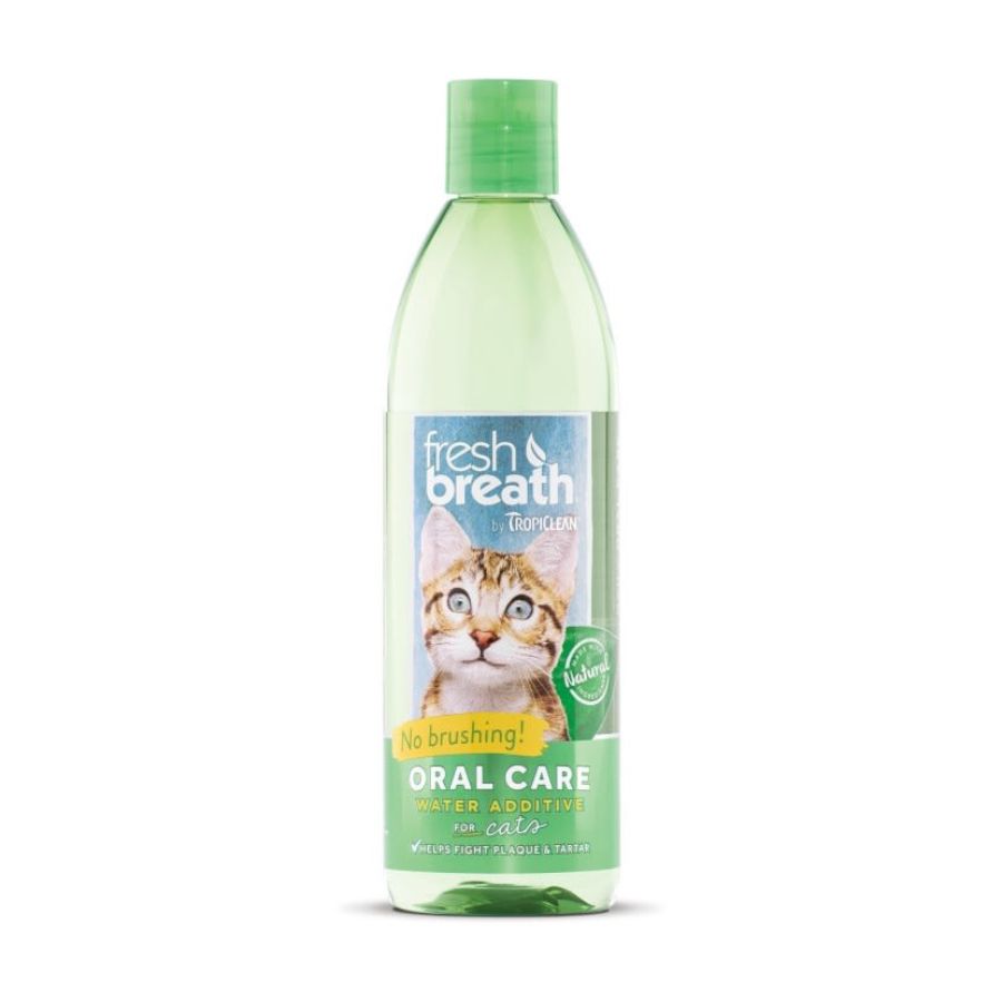 Oral care water additive for cats