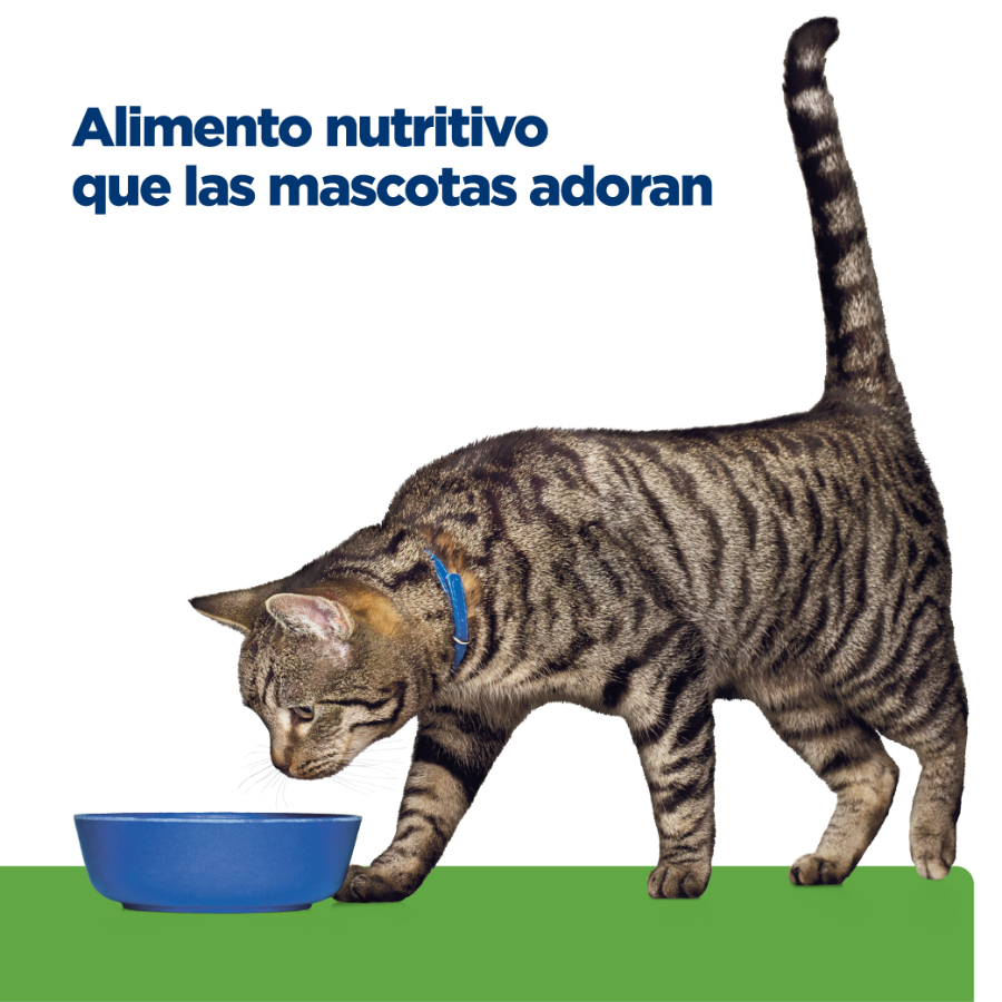 Hills Feline Metabolic alimento para gatos, , large image number null