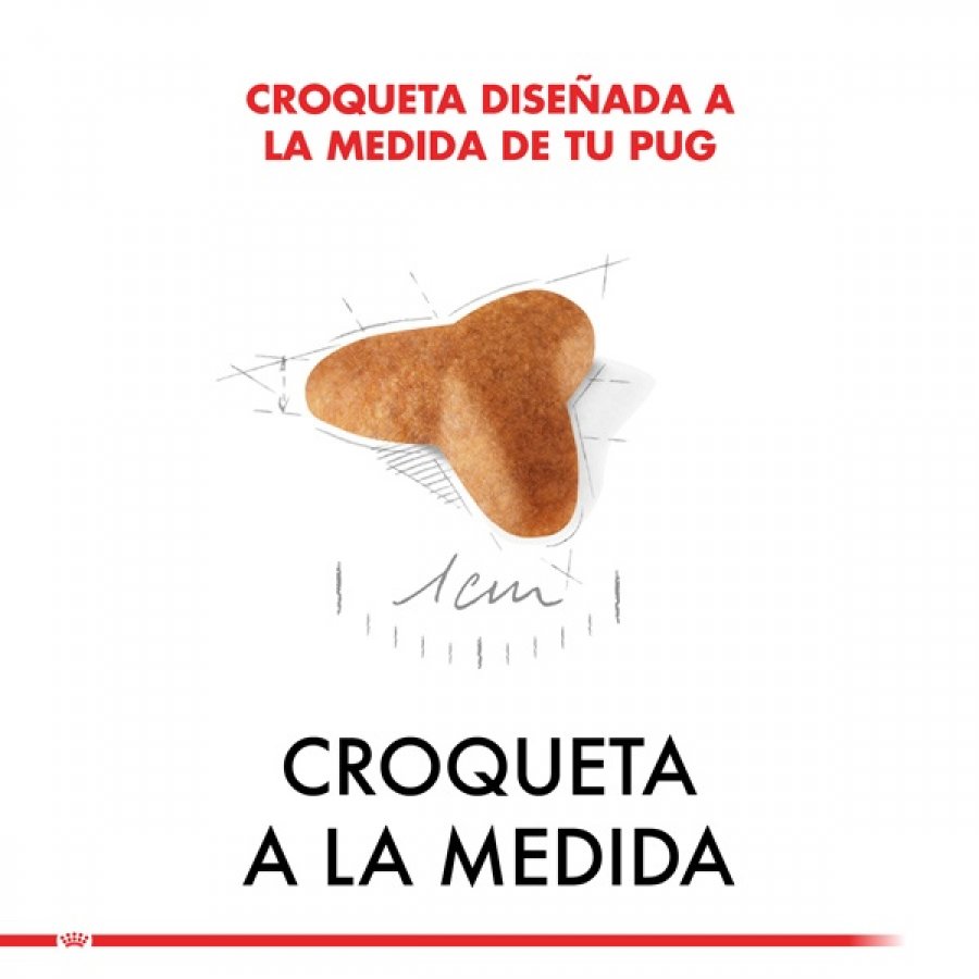 Royal Canin Cachorro Pug Junior alimento para perro, , large image number null