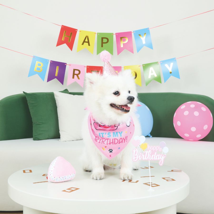 Partytime perro ladys set, , large image number null