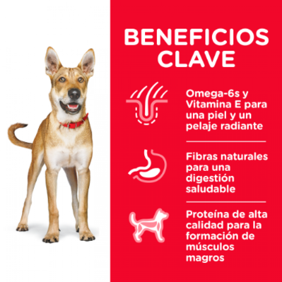 Hills Canine Advanced Fitness - alimento para perro, , large image number null