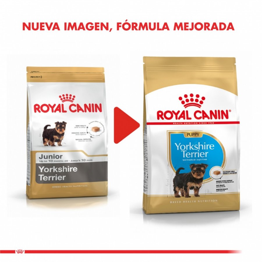 Interconectar estoy de acuerdo ensayo Royal Canin Cachorro Yorkshire Terrier Junior alimento para perro
