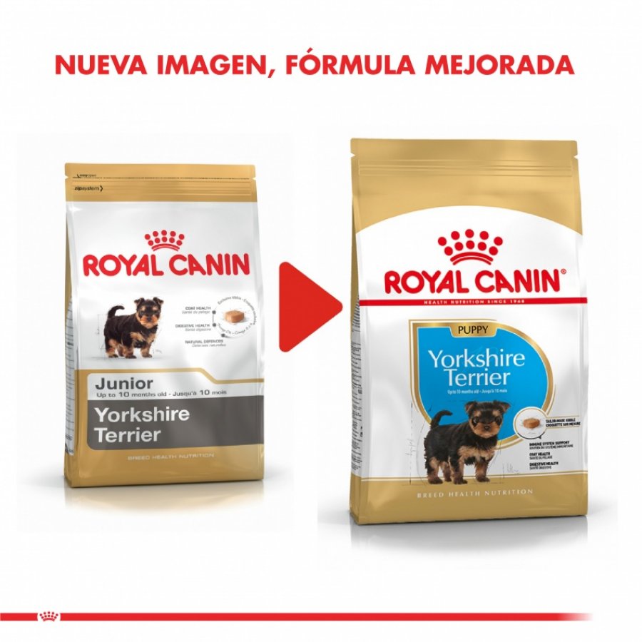 Interconectar estoy de acuerdo ensayo Royal Canin Cachorro Yorkshire Terrier Junior alimento para perro Interconectar estoy de acuerdo ensayo Royal Canin Cachorro Yorkshire Terrier Junior alimento para perro