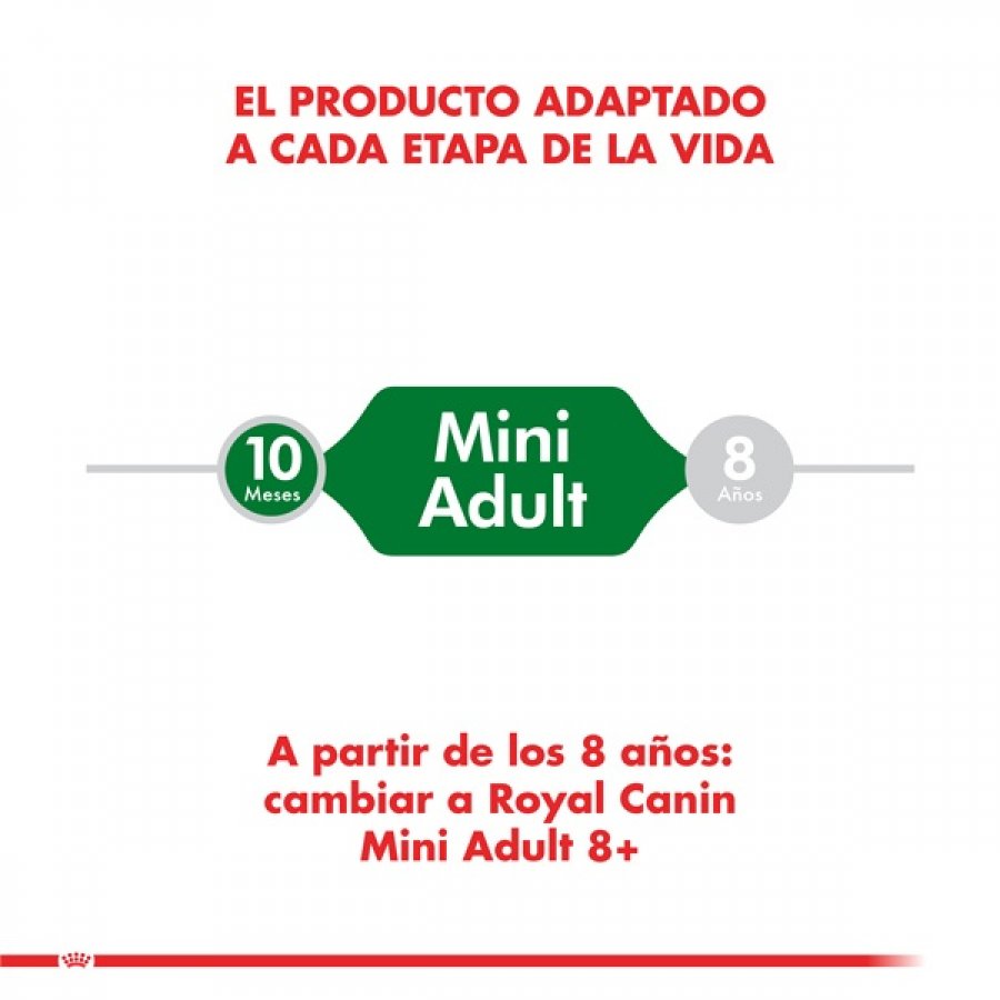 Royal Canin adulto Mini Adult alimento para perro, , large image number null