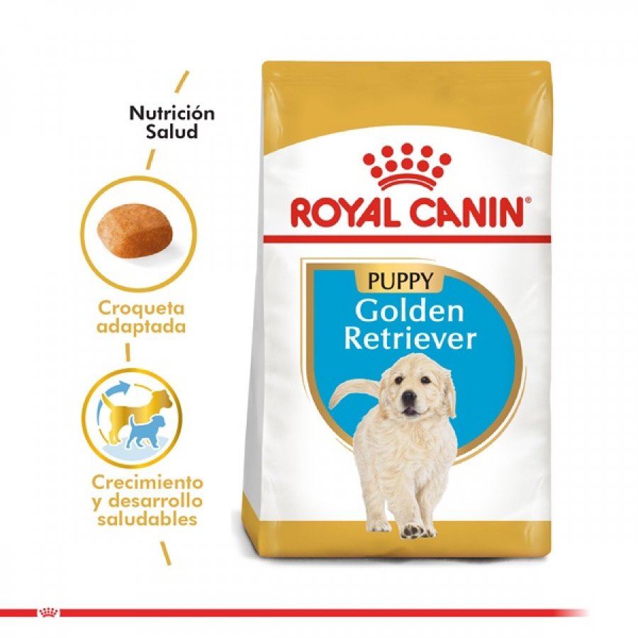 Royal Canin cachorro golden retriever puppy 12 KG alimento para perro
