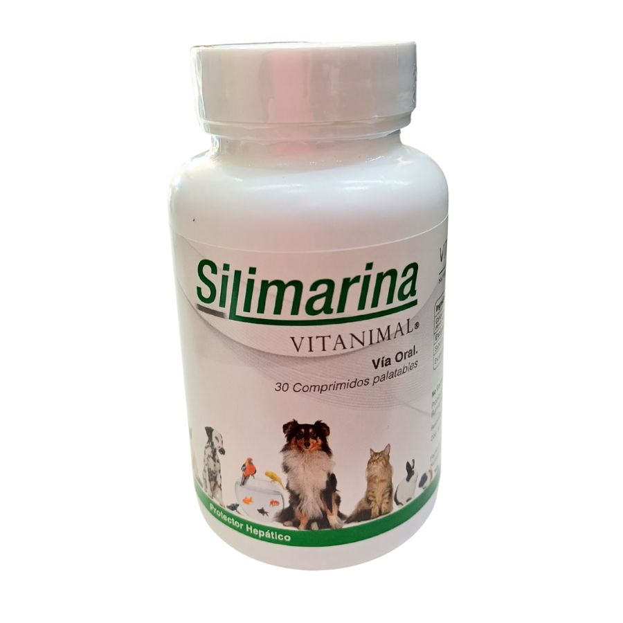 Silimarina