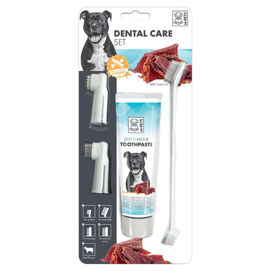 Toothpaste beef flavor kit white & blue