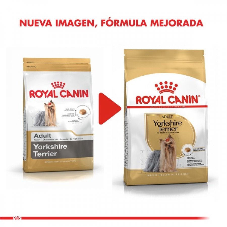 Royal Canin adulto Yorkshire Terrier Adult alimento para perro, , large image number null