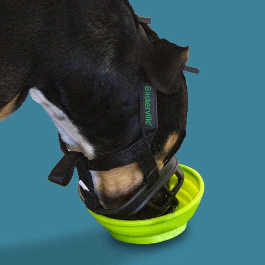 Baskerville ultra basket muzzle, , large image number null