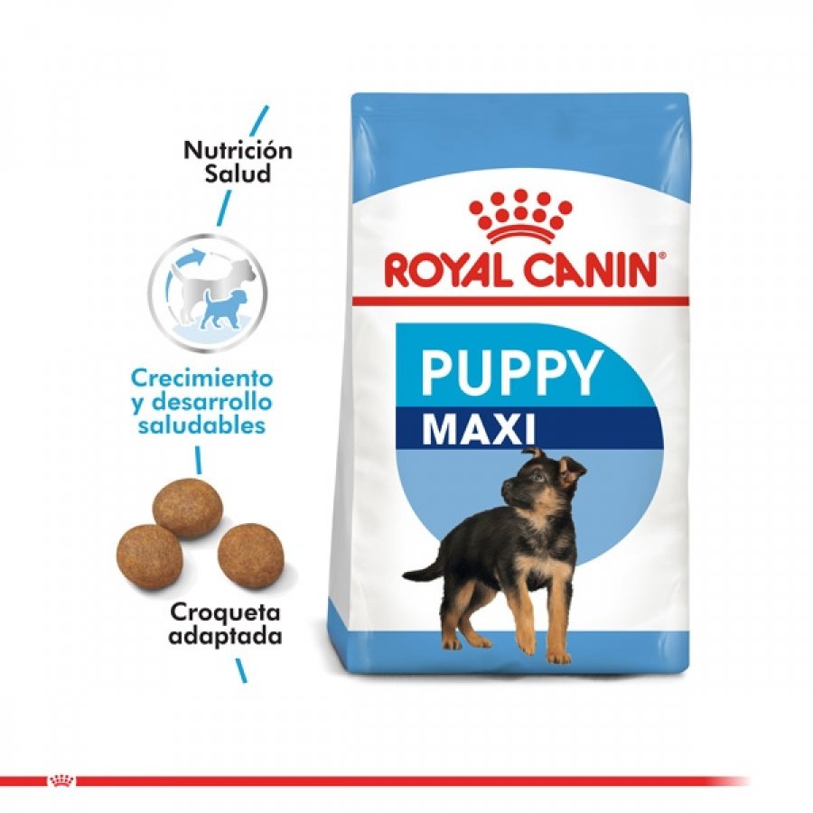 Royal Canin Cachorro Maxi Puppy alimento para perro, , large image number null