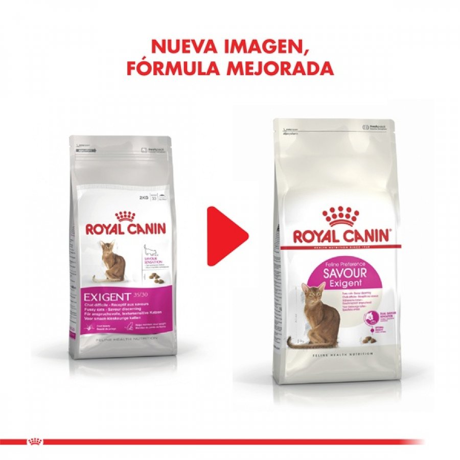 Royal Canin adulto Exigent alimento para gato, , large image number null