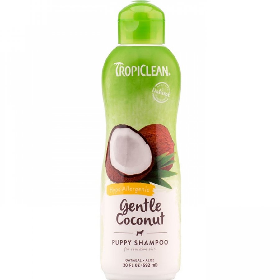 Gentle coconut shampoo