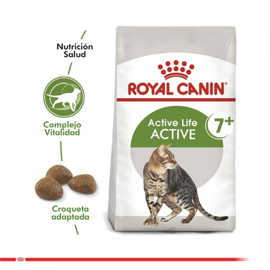 Royal Canin adulto Active 7+ alimento para gato, , large image number null