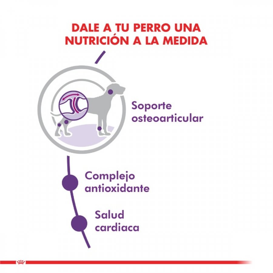 Royal Canin adulto giant adult 15 KG alimento para perro, , large image number null