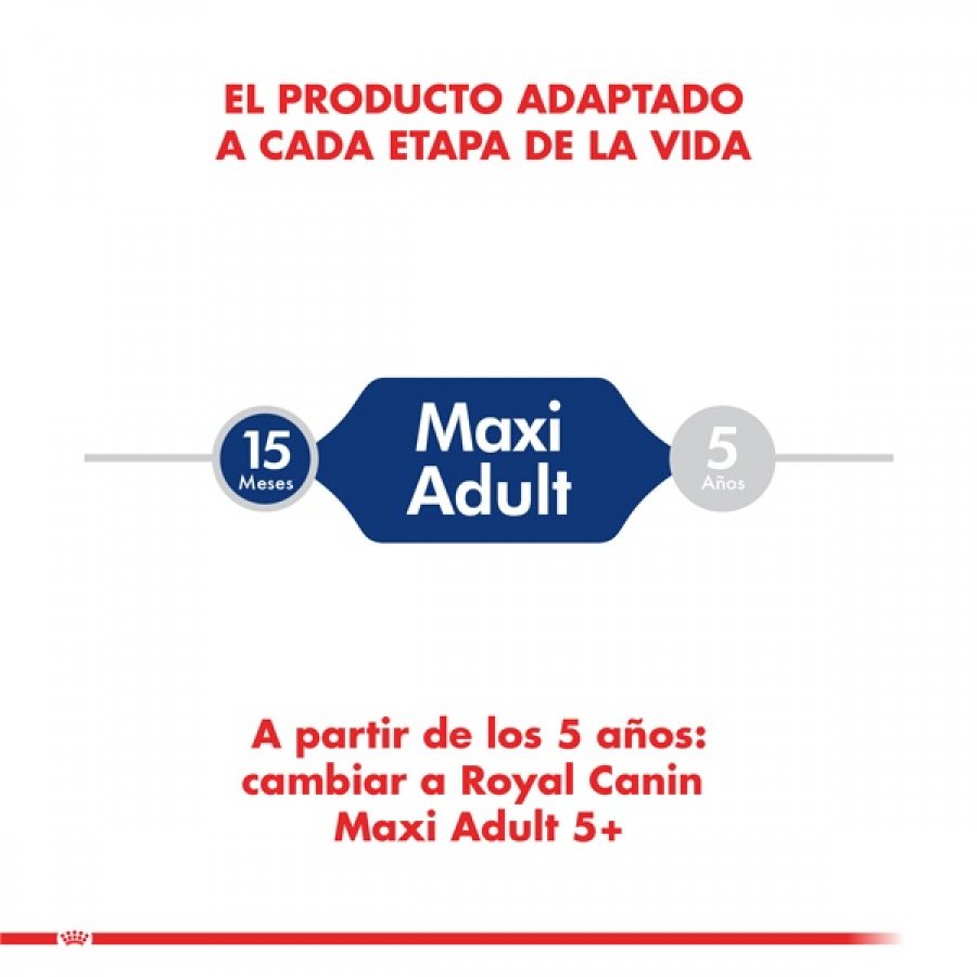 Royal Canin adulto maxi adult 15 KG alimento para perro, , large image number null