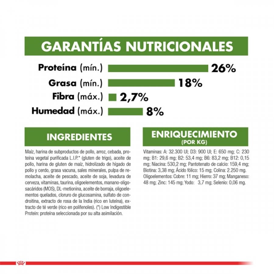 Royal Canin adulto Active 7+ alimento para gato, , large image number null