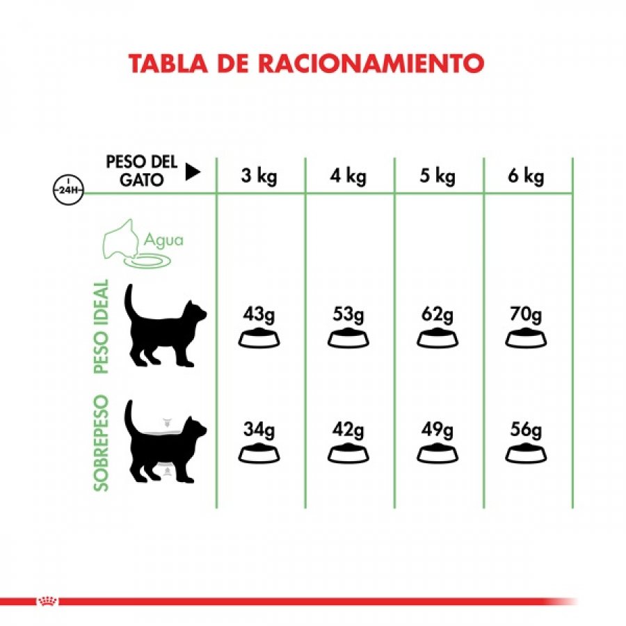 Royal Canin Royal Canin Adulto Digestive Care alimento para gatos, , large image number null