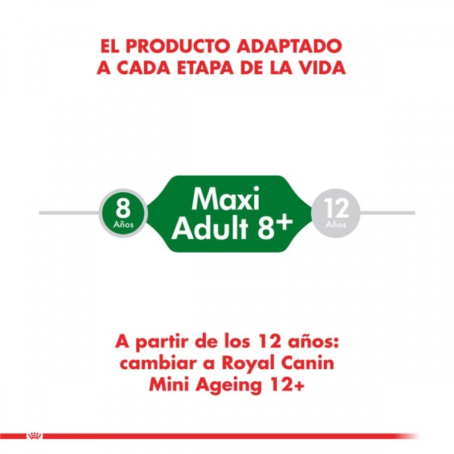 Royal Canin adulto Mini Adult +8 alimento para perro, , large image number null