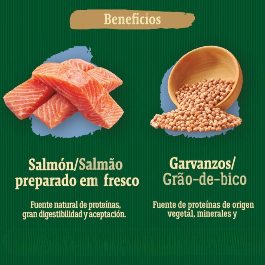 True Origins Wild Cat Adult Pacific alimento para gato, , large image number null