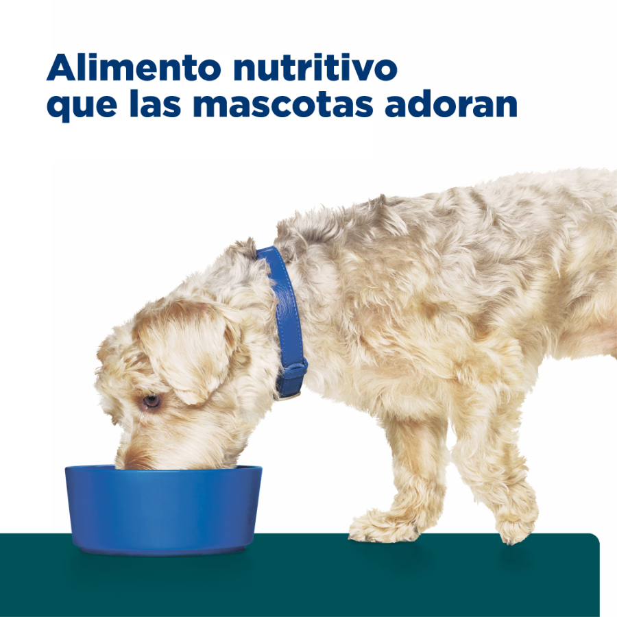 Hills Canine W/D Digestive / Weight / Glucose Mgmt., , large image number null