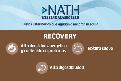 Nath vetdiet recovery alimento para perros 400GR, , large image number null