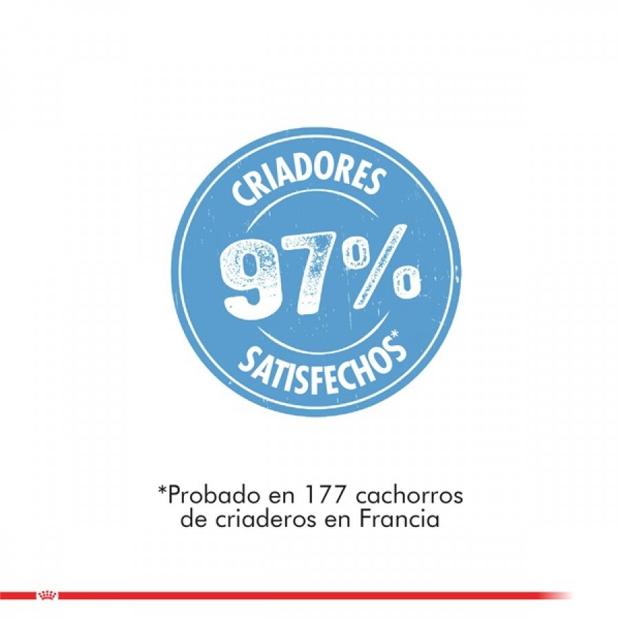 Royal Canin Cachorro Maxi Starter alimento para perro, , large image number null