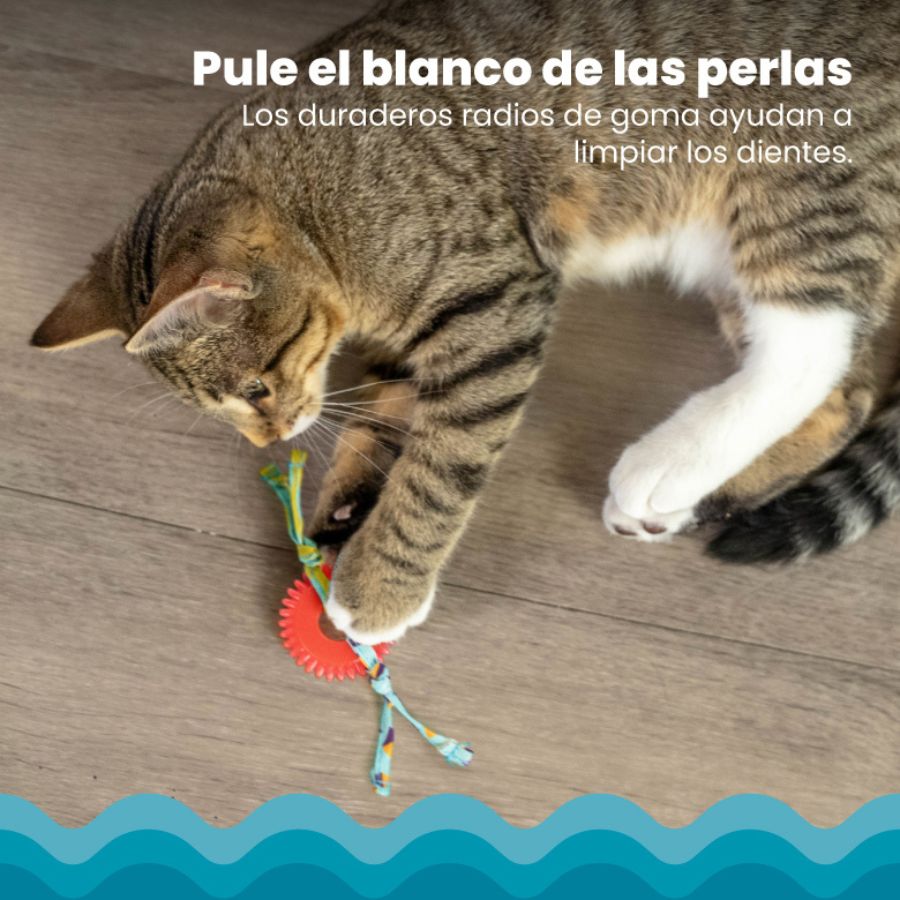 Rueda mordedora para gatos Petstages roja, , large image number null