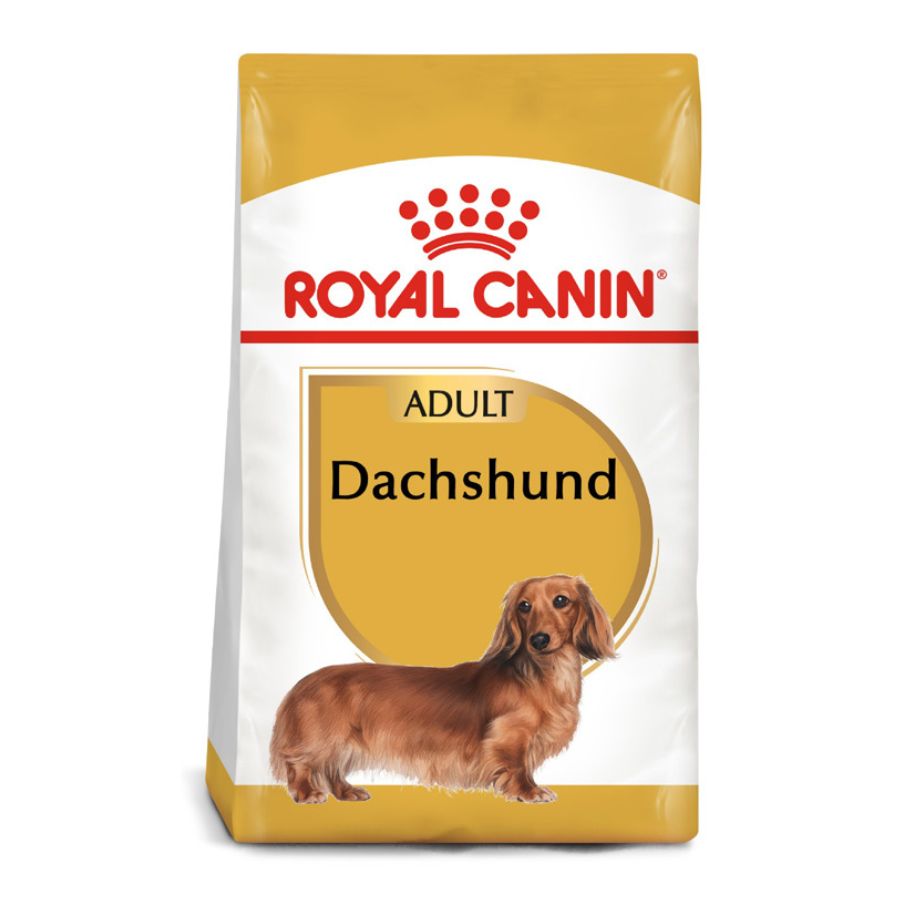 Royal Canin adulto Dachshund alimento para perro, , large image number null