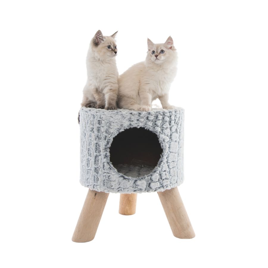 Cama para gato Mpets Snake suede cat bed, , large image number null