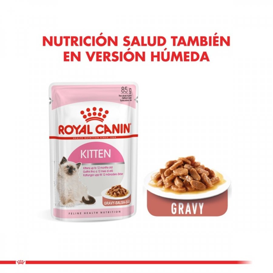 Royal Canin Gatito Felino Kitten alimento para gato, , large image number null