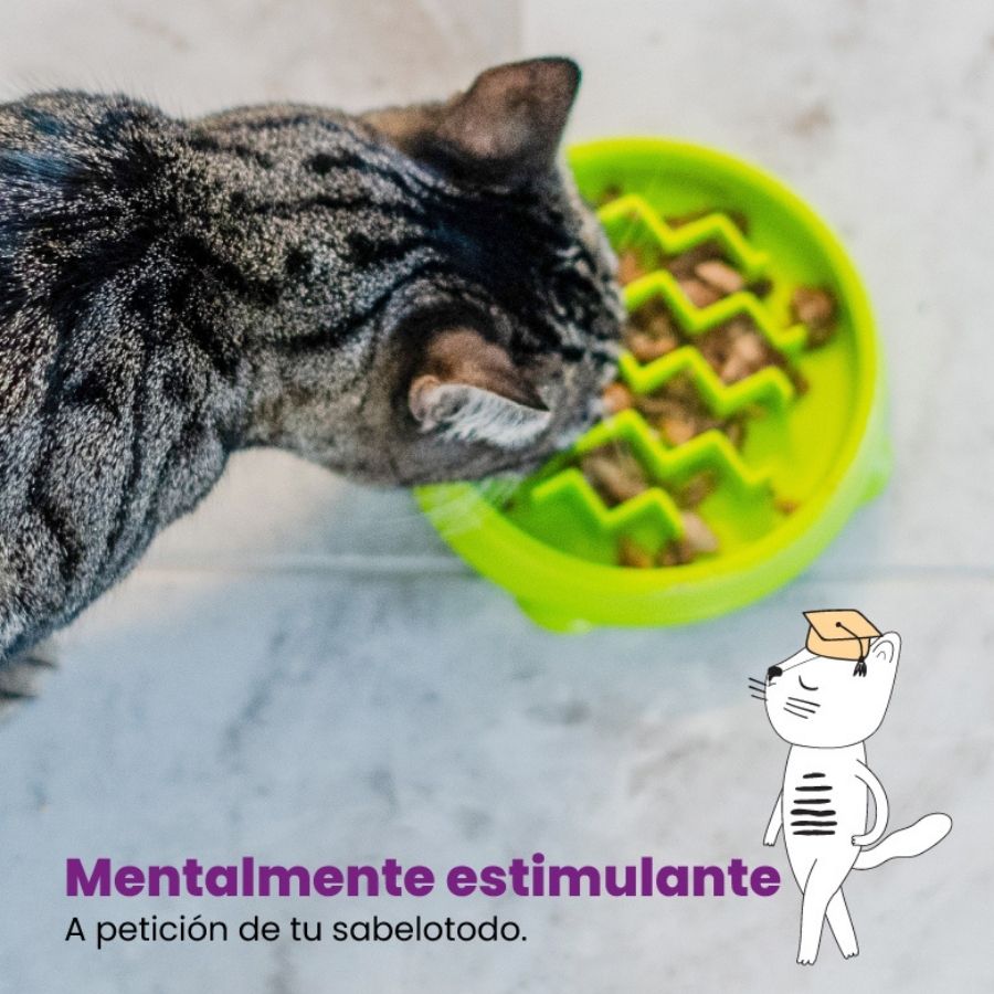 Kitty Slow Feeder Grn SM, , large image number null