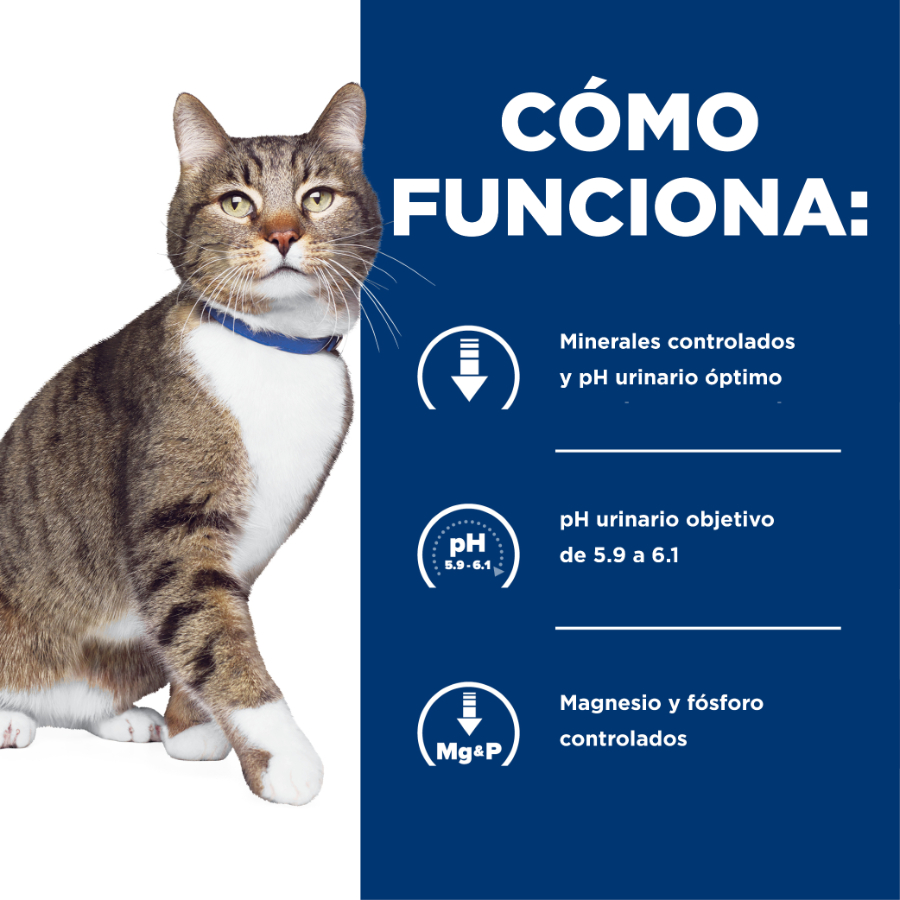 Hills feline s/d urinary care 1.81 KG, , large image number null