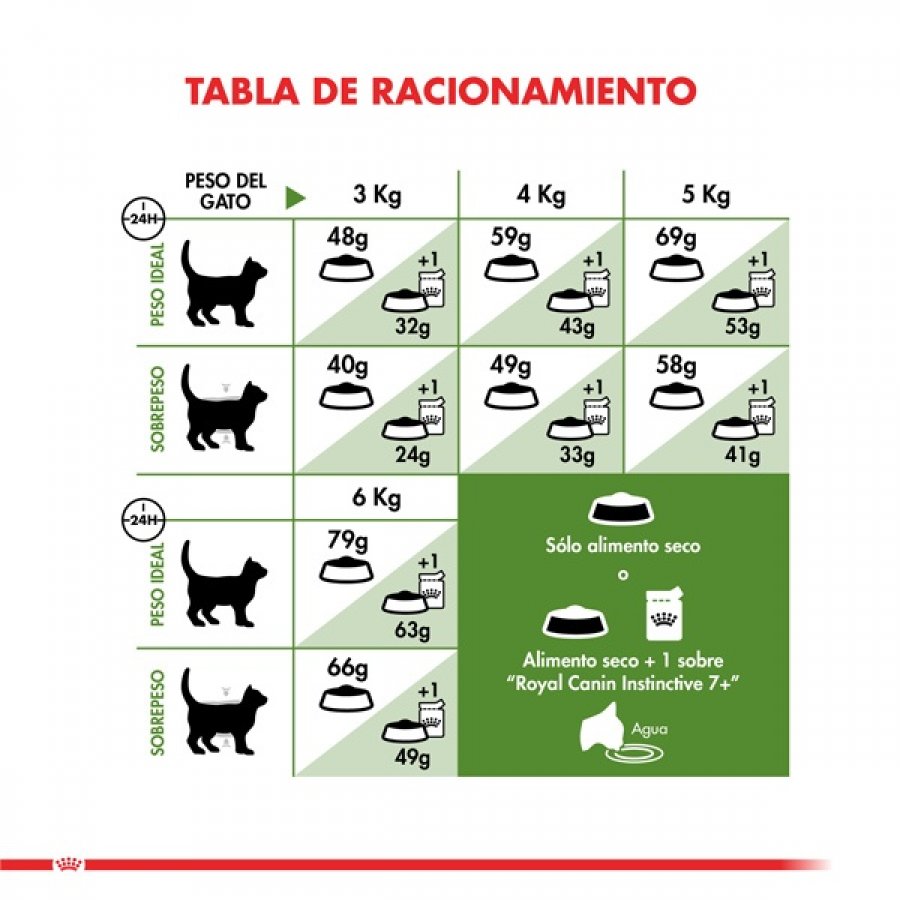 Royal Canin adulto Active 7+ alimento para gato, , large image number null