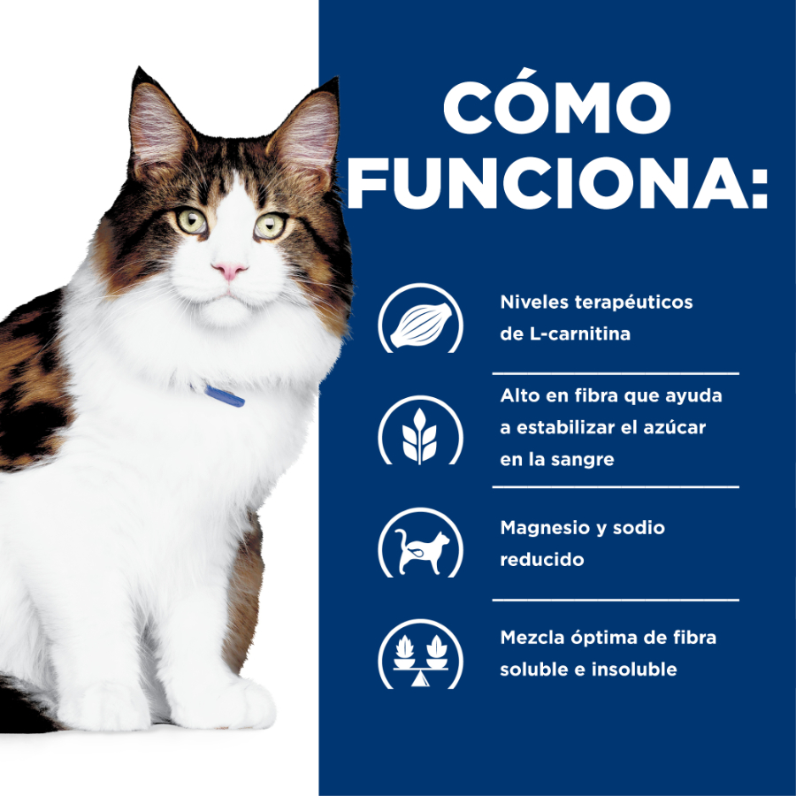 Hills Feline W/D Digestive / Weight Mgmt., , large image number null