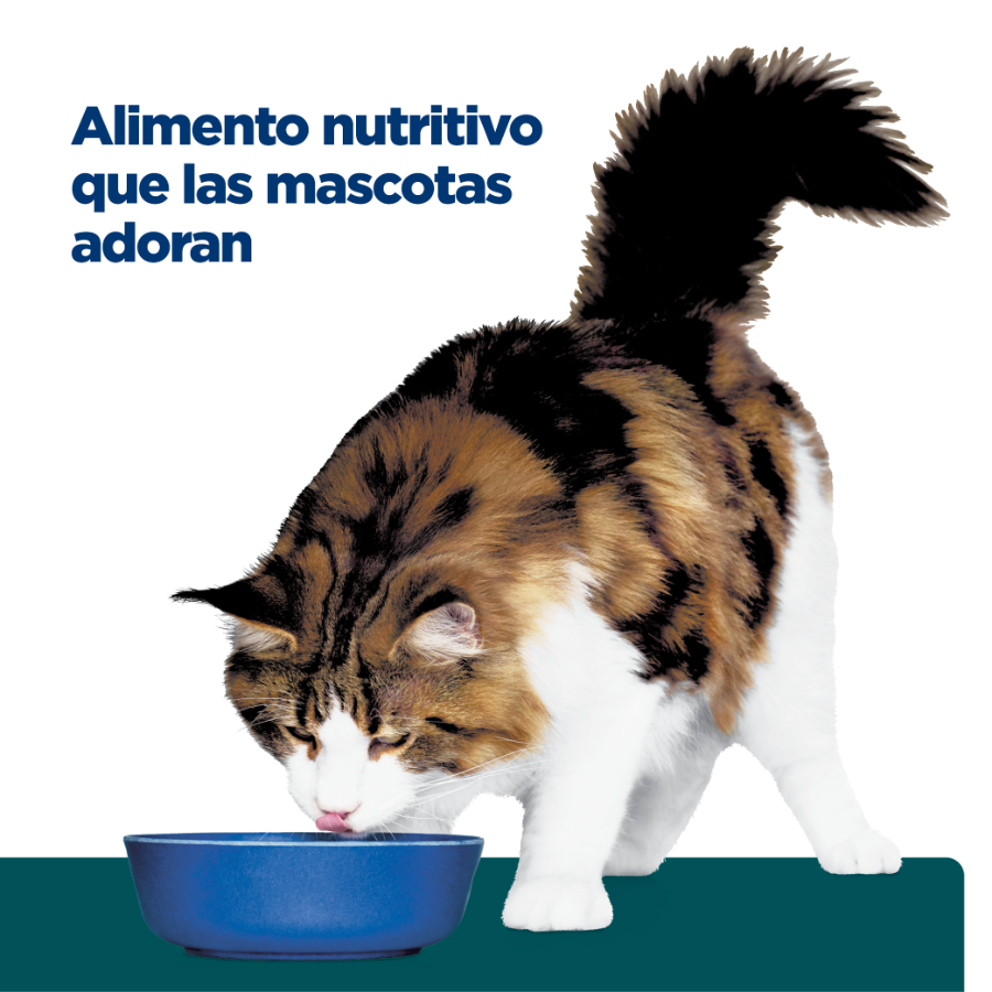 Hills Feline W/D Digestive / Weight Mgmt., , large image number null